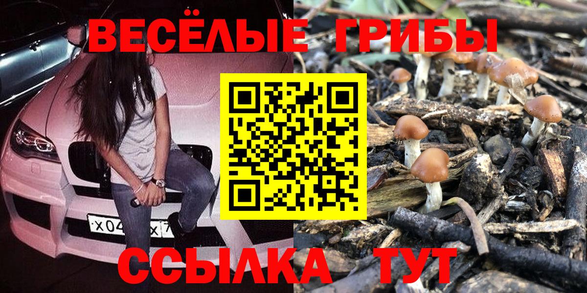 Галлюциногенные грибы Psilocybe Дзержинский